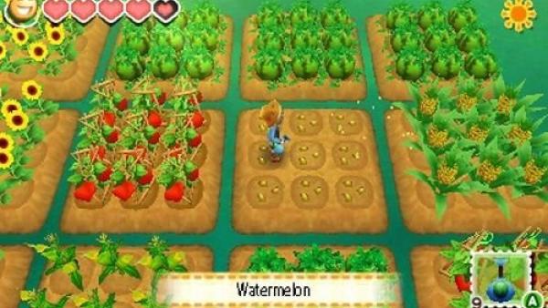 Screenshot: Verschiedene Gemüsefelder sind zu sehen.