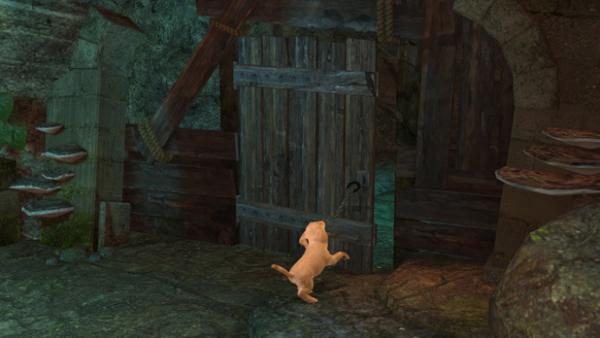 Ein Hund öffnet eine Holztür.