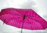 Ein rosa Regenschirm