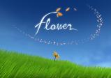 "Flower" Schriftzug mit einer auf der Wiese blühenden Blume