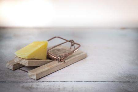 Eine Mausefalle mit einem Stück Käse