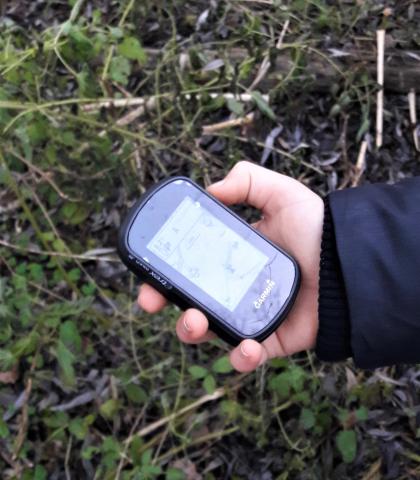 Eine Hand hält ein GPS-Gerät über Waldboden. (c) Fotografin: Michaela Kempter 